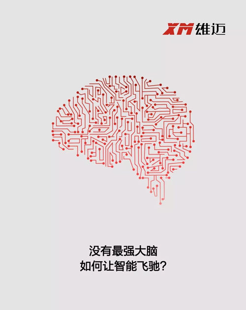 640.webp (3)_副本.jpg